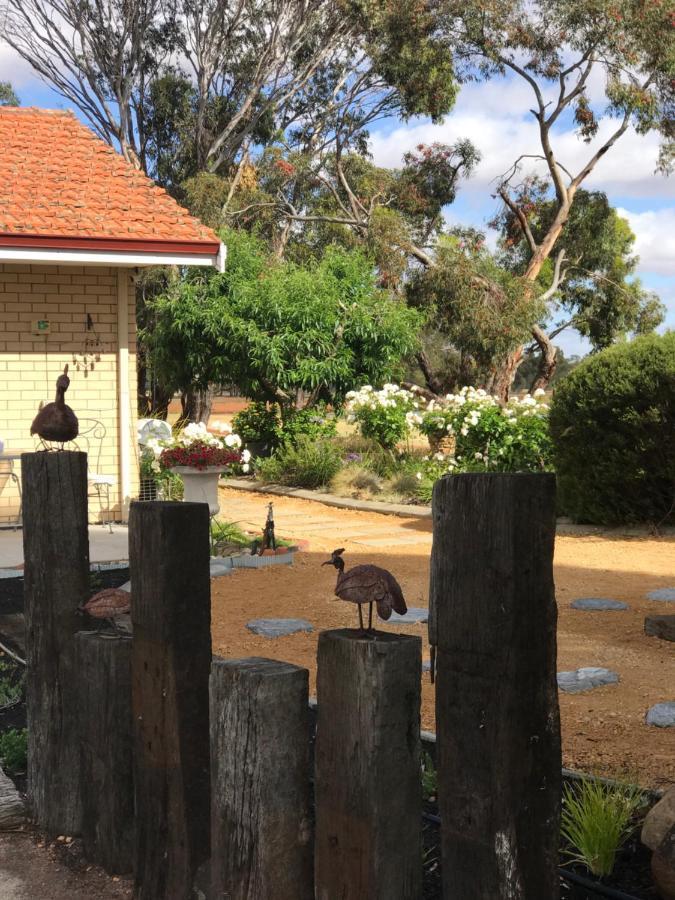 Katanning Yellow Gum Bed And Breakfast מראה חיצוני תמונה