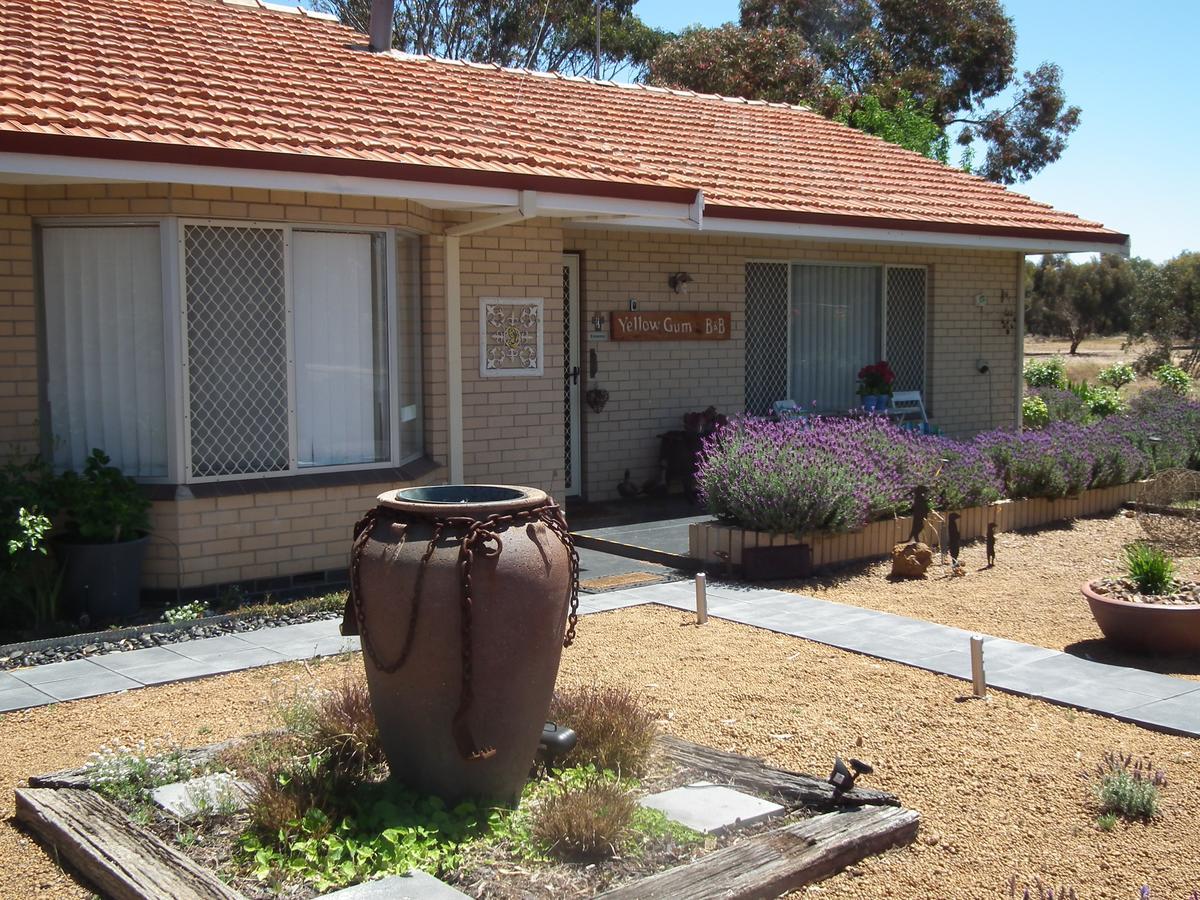 Katanning Yellow Gum Bed And Breakfast מראה חיצוני תמונה