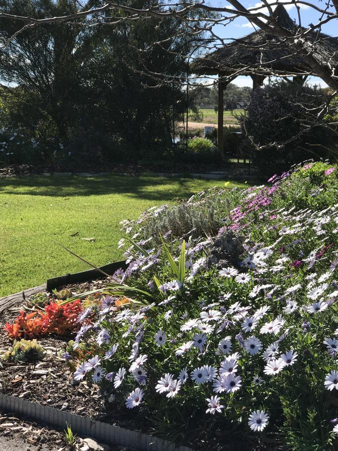Katanning Yellow Gum Bed And Breakfast מראה חיצוני תמונה